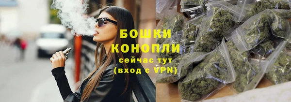 прущие грибы Зеленодольск