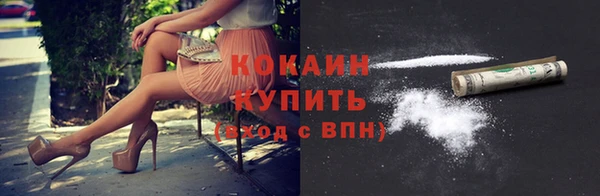 прущие грибы Зеленодольск