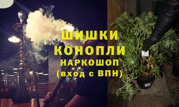 прущие грибы Зеленодольск