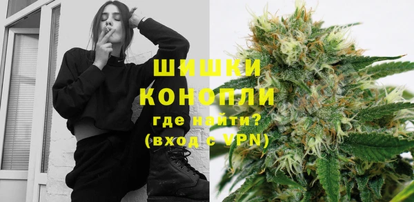 прущие грибы Зеленодольск