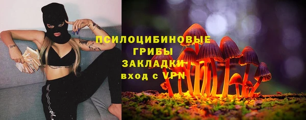 трава Зерноград