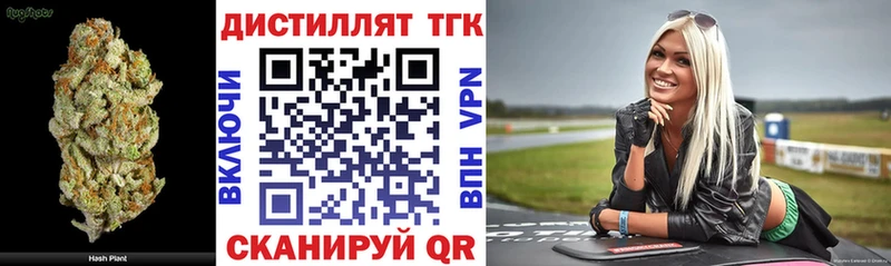 Дистиллят ТГК Wax  Купить где  Вольск 