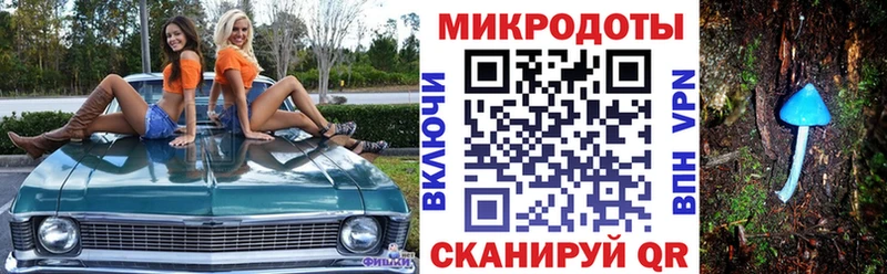 Псилоцибиновые грибы MAGIC MUSHROOMS  Купить закладки  Вольск 