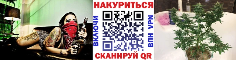 Канабис гибрид  Купить где  Вольск 